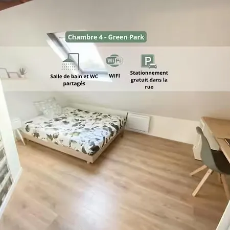Homestay Colocation A Avec Terrasse Roubaix